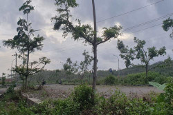 Tempat Parkir Pantai Krakal Kini Mangkrak dan Ditumbuhi Rumput Liar, Begini Kata Pemkab