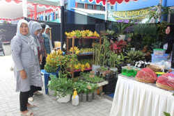 Musim Hujan, Dinas Pertanian Jogja Minta Warga Tanam Sayuran
