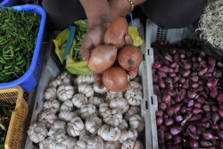 Mendekati Libur Nataru, Harga Bawang di Jogja Mahal Lagi