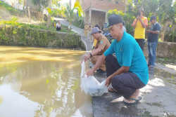 Ratusan Ribu Ekor Ikan Ditebar di Kali Oya Gunungkidul