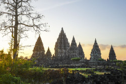 Sambut Masa Ramai Libur Natal dan Tahun Baru, TWC Hadirkan Blessing in Harmony