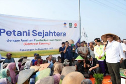 Anies Janji Terapkan Konsep Contract Farming untuk Jamin Hasil Panen Petani