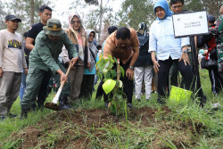 Rehabilitasi Hutan, 3.400 Bibit Pohon Ditanam di Kawasan Taman Nasional Gunung Merbabu