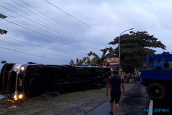 Bus Sumber Selamat Terguling di Jalan Sragen-Ngawi, Belasan Penumpang Terluka