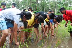 Diluluhlantakkan Pandemi, Desa Wisata DIY Belum Juga Pulih