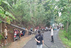 BMKG: Cuaca Ekstrem Landa DIY dalam Tiga Hari ke Depan
