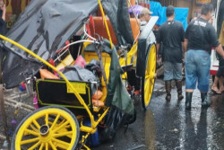 Andong Tertimpa Pohon di Gondomanan, Begini Kondisi Kusir dan Kudanya