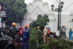 Hujan Angin Melanda Jogja dan Sleman, Ini Daerah yang Terdampak
