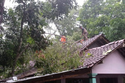 Dampak Angin Kencang dan Hujan Lebat di Sleman, BPBD Dirikan Posko Darurat dan Dapur Umum
