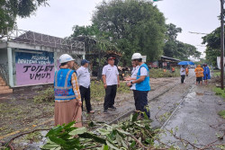 Ditengah Kondisi Pohon dan Baliho Timpa Jaringan Paska Cuaca Ekstrem, PLN Berhasil Pulihkan Listrik 100%