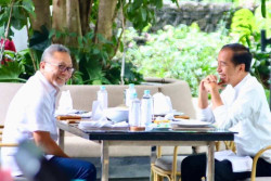 Zulhas Undang Jokowi Makan Siang, Ternyata Bahas Prabowo-Gibran