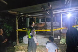 Sapi Milik Warga Sentolo Raib Dicuri, Sempat Terdengar Suara Gaduh di Kandang