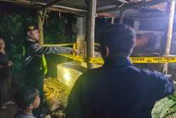 Komplotan Maling Sapi di Sentolo Diduga Terekam CCTV, Polisi Buru Pelaku