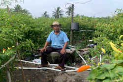 Bermodal Teknologi Tepat Guna & Kekompakan, Petani di Daerah ini Omzetnya Capai Miliaran