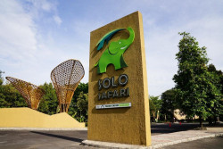 Keseruan Berpetualang di Solo Safari
