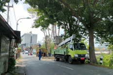 Dampak dari Cuaca Ekstrem, DLH Sleman Kebanjiran Order Bantuan Pemangkasan Pohon