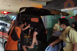 Hujan Deras, Warga Prambanan Tertimpa Pohon Mahoni