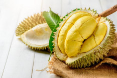 Konon Durian Memicu Tekanan Darah Tinggi, Ini Faktanya