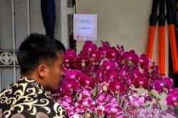 Alasan Jokowi Kirim Karangan Bunga ke Megawati Soekarnoputri