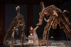 China Temukan Fosil Eukariota Multiseluler Berusia 1,63 Miliar Tahun, Diklaim Tertua di Dunia