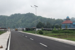 Sawah di Sleman Terus Menyusut, Begini Strategi untuk Mempertahankan Produktivitas Pangan