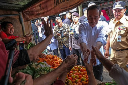 Stafsus Presiden Klarifikasi, Jokowi ke Jateng untuk Mengecek Program Pemerintah