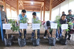 PLN Tanam 4000 Pohon Pakan Lebah di Kampung Madu Kedungpoh, Wujudkan Kemandirian Ekonomi Dan Kelestarian Alam