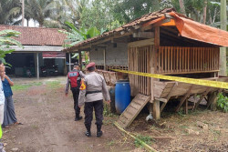 Pencurian Sapi dan 5 Kambing di Kulonprogo Belum Terungkap, Polisi Andalkan CCTV