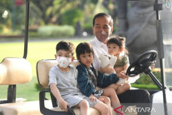 Jokowi Unggah Foto Momong Cucu di Medsos