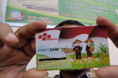 Sudah Setahun Kartu Tani Tidak Bisa Digunakan, Petani Bantul Mengeluh