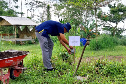 Langkah Penghijauan Harus Didukung Beragam Elemen