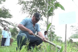 Penanaman Pohon Perluas Kawasan Hijau dan Lestarikan Wilayah Resapan Air