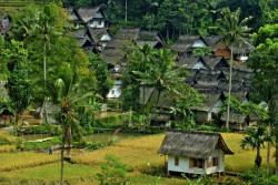 Kampung Dukuh Diusulkan Masuk WBTb, Ini Keistimewaannya