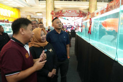 Digelar Lagi Tahun Ini di SCH, Kontes Arwana Diserbu Peserta Mancanegara