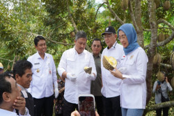 DPP Gunungkidul Mengaku Perlu Optimasi Lahan Pertanian