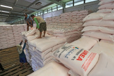 Harga Pupuk Diprediksi Naik Tahun Depan, Ini Penyebabnya