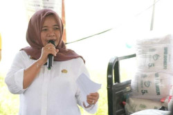 Harga Pangan Aman, Ramadan dengan Nyaman