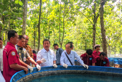 Gunungkidul Digelontor Rp50 Miliar untuk Budi Daya Lele