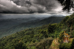 Kebakaran Lalap Kawasan Hutan Nasional di Thailand