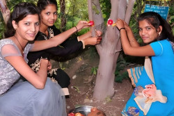 Unik, Desa Ini Menggagas Tradisi Menanam 111 Pohon Setiap Kelahiran Anak Perempuan