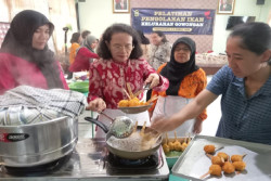 Cegah Stunting, Warga di Jogja Dilatih Olah Ikan
