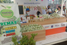 Tanwiedjie Purworejo Fokus Kembangkan Keripik Olahan Jambu Kristal