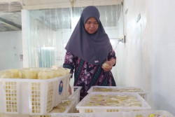 Sarisa Merapi, Harga Salak Murah Awal dari Berkah