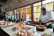 Permintaan Meningkat, Harga Daging Ayam di Bantul Merangkak