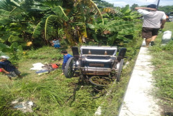 Baru Pertama Kali Digunakan, Andong, Kuda dan Penumpang Nyungsep ke Parit di Banguntapan