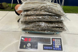 Penyelundupan Paket Ganja via Ekspedisi Berhasil Digagalkan, Ini Kronologinya