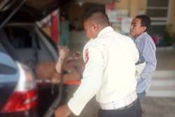 Satu Tewas dan 14 Luka-luka dalam Kebakaran Pabrik Pakan Ayam