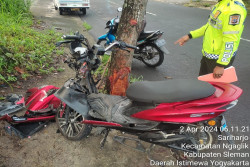 Motor Listrik Oleng Tabrak Pohon di Sleman, 2 Pelajar Terluka