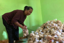Mudik ke Bantul, Jangan Lupa Ada Peyek Tumpuk yang Cocok untuk Oleh-Oleh