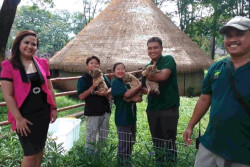 Libur Lebaran, Solo Safari Pamerkan Bayi Harimau Benggala